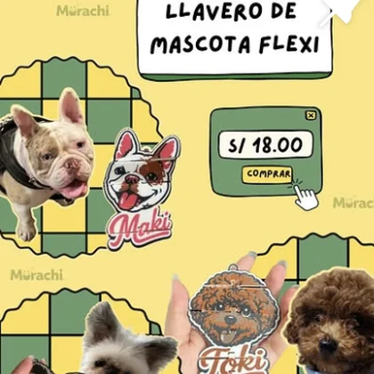 Llaveros de mascota